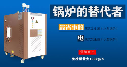 LSG生物質(zhì)蒸汽發(fā)生器 食品工業(yè)中的高效能源解決方案